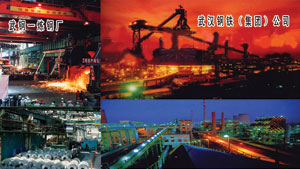 武汉钢铁公司硅钢片厂